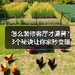 怎么装修客厅才温馨？3个秘诀让你家秒变暖居