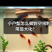 小户型怎么做到空间利用最大化？