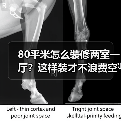 80平米怎么装修两室一厅?这样装才不浪费空间(图2) 80平米怎么装修两室一厅?这样装才不浪费空间(图2)