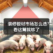 装修板材市场怎么选?看这篇就够了(图2) 装修板材市场怎么选?看这篇就够了(图2)