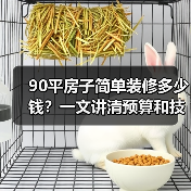 90平房子简单装修多少钱?一文讲清预算和技巧(图2) 90平房子简单装修多少钱?一文讲清预算和技巧(图2)