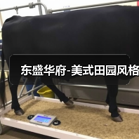 东盛华府-美式田园风格（图3）