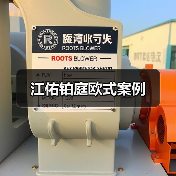 江佑铂庭欧式案例（图2）