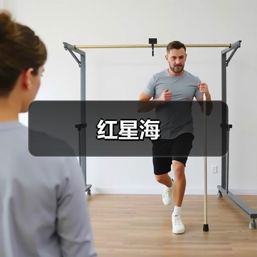 红星海（图2）