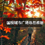 国投城市广场陈总雅居