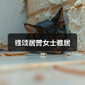 雅颂居曾女士雅居（图2）