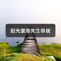 阳光里陈先生雅居（图4）