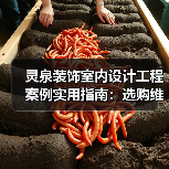 灵泉装饰室内设计工程案例实用指南：选购维护与问题解析（图2）