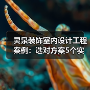 灵泉装饰室内设计工程案例:选对方案5个实用方法(图1) 灵泉装饰室内设计工程案例:选对方案5个实用方法(图1)