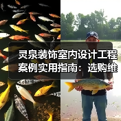 灵泉装饰室内设计工程案例实用指南：选购维护与常见问题解析（图3）